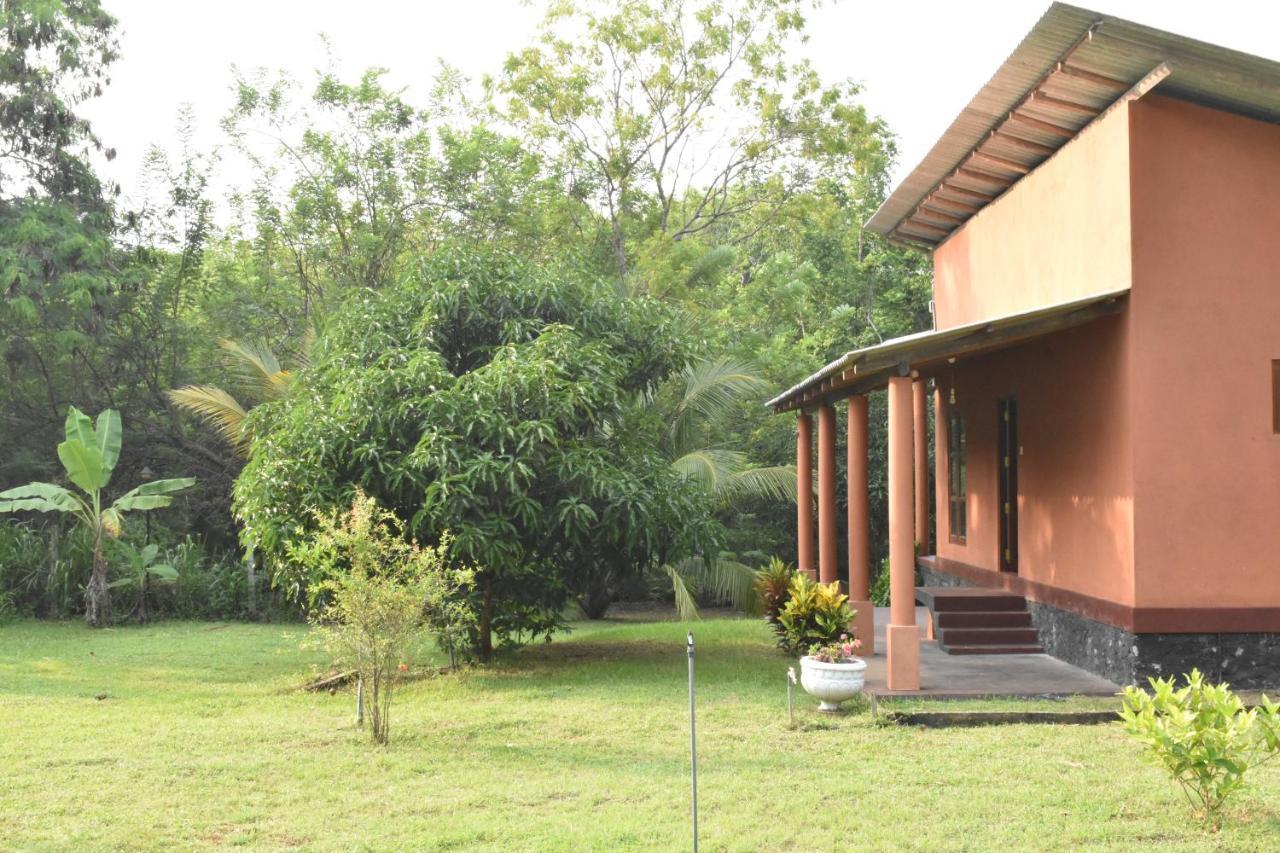 Nil Bawana Nature Resort Udawalawe Exterior photo
